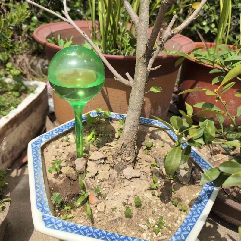6 stuks zelfwatergevende balle - Smart Garden Technology recensie en prijs