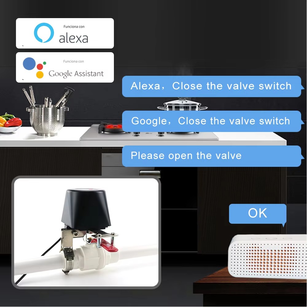 Tuya Zigbee of Wifi Waterklep  - Smart Garden Tap recensie en prijs