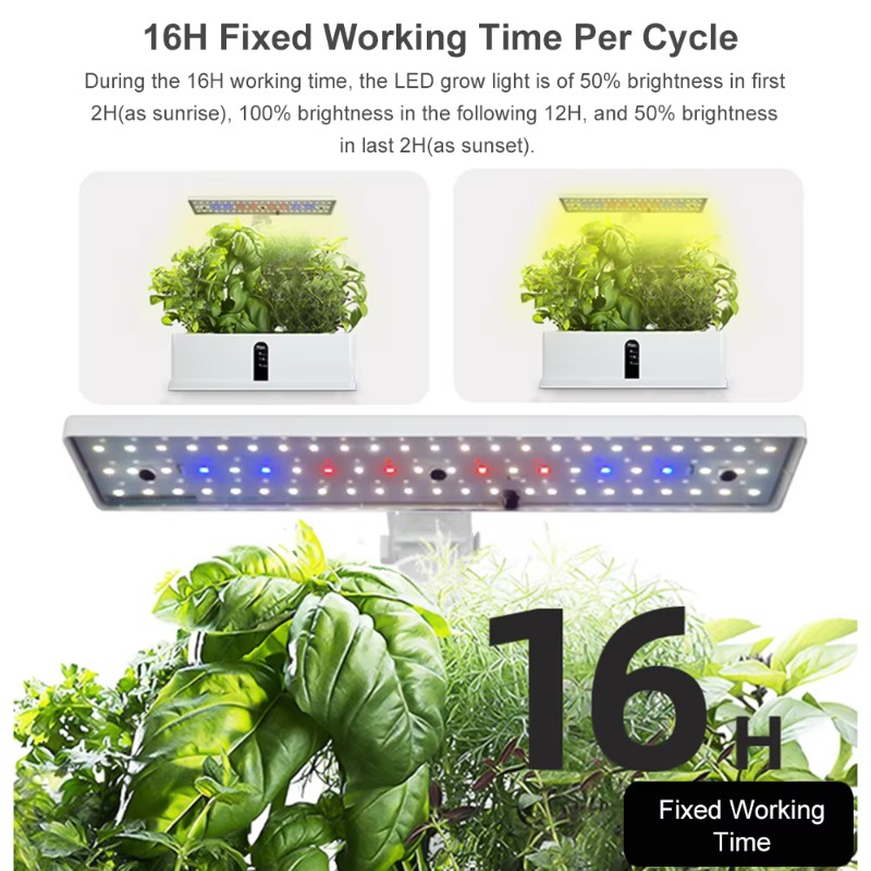 9 Pods Smart Hydroponics Kweek - Smart Garden Led Lights recensie en prijs
