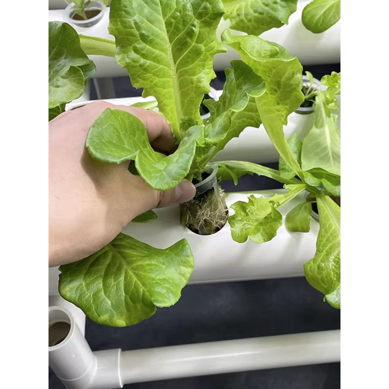 108-gats hydrocultuur kweeksys - Aquaponics Home Kit recensie en prijs