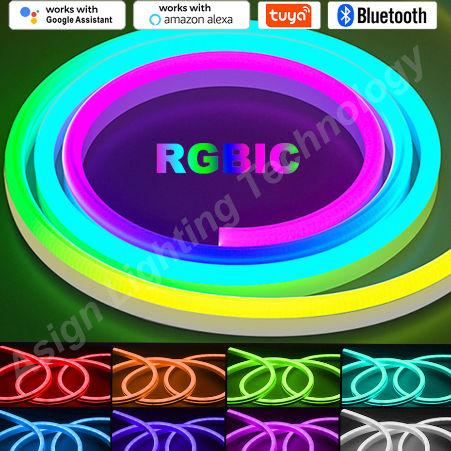 Rgbic Led Neon Strip 12V 96Led - Smart Garden Led Lights recensie en prijs